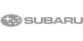 Subaru Graphic